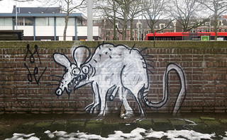 Graffiti in Amsterdam